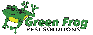 Green Frog Pest Solutions