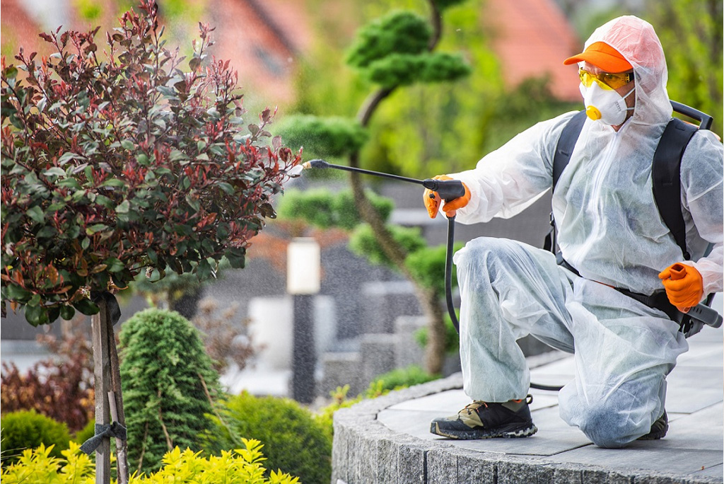 The Importance Of Preventive Pest Control Services In Keeping