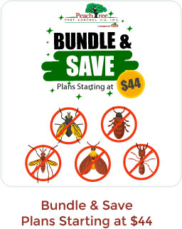 Bundle and Save on Pest Control Services from Peachtree Pest Control