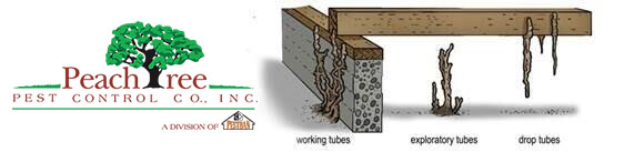 Termite Mud Tunnels at Peachtree Pest Control
