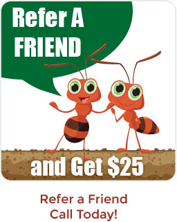 Refer a Friend and Save on Pest Control Services from Peachtree Pest Control