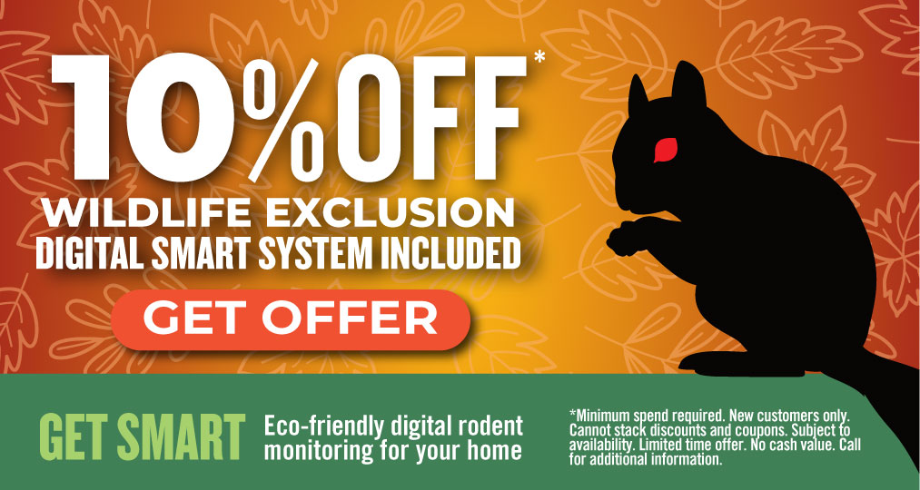 Save 10% On Squirrel Control and WIldlife Exclusion with Peachtree Pest Control