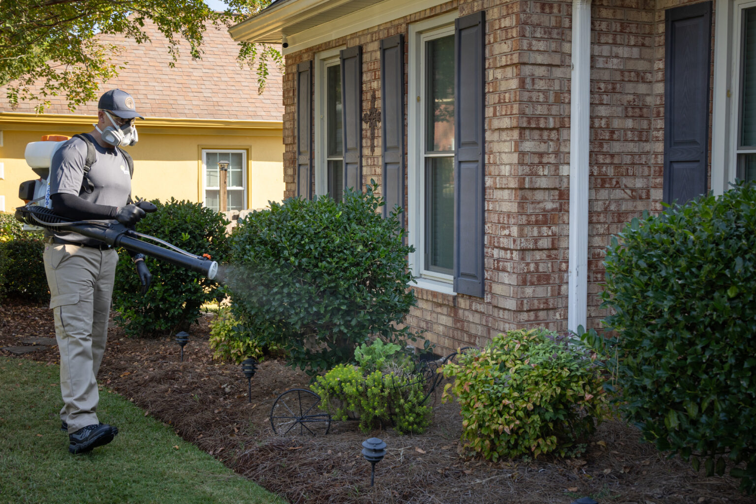 Pest Control Services: Expert Exterminators in Atlanta & Augusta