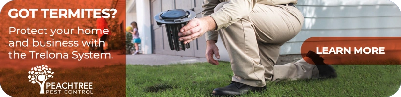 pest control technician holding a Trelona System