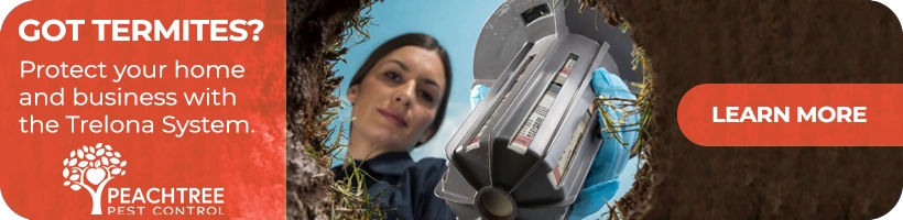 pest control technician placing a Trelona System in the ground