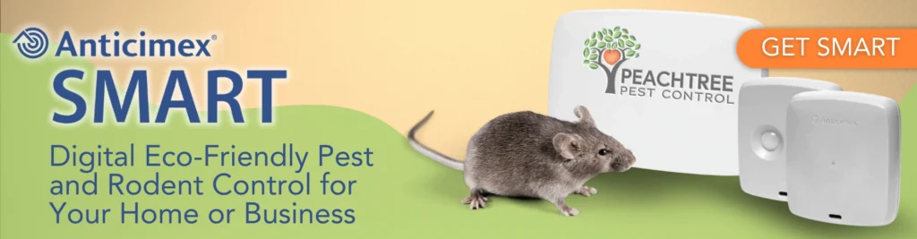Anticimex SMART rodent control solutions