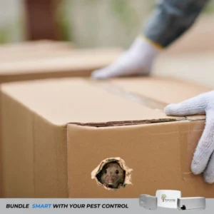 rodent control service