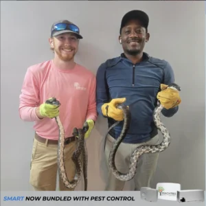 snake pest control