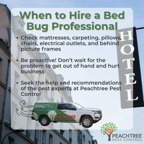 when to hire a commercial bed bug exterminator