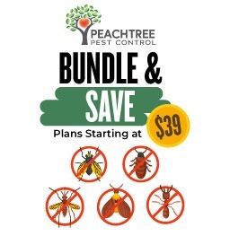 Bundle and Save Pest Control for $39 - Peachtree Pest Control