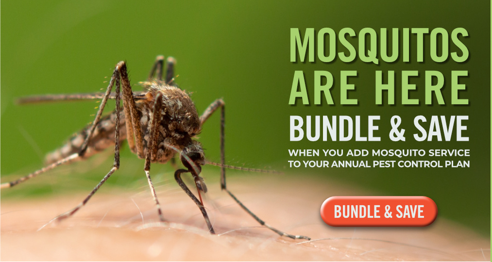 Mosquito Control Bundle - Peachtree Pest Control