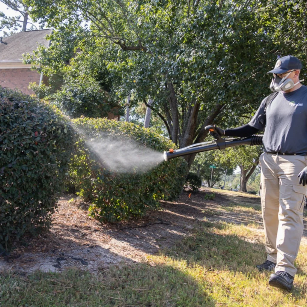 peachtree pest control mosquito treatment