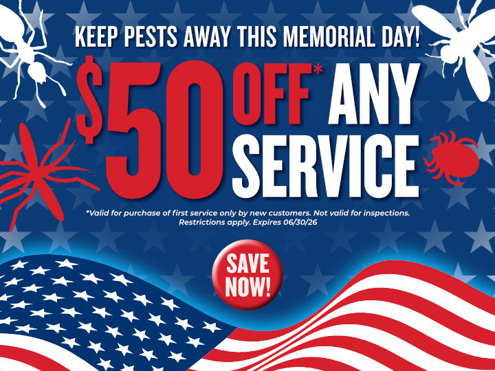 https://www.peachtreepestcontrol.com/free-estimate/?utm_source=Homepage_Banner&utm_medium=organic&utm_campaign=50_Off&utm_term=Peachtree&utm_content=Promotions