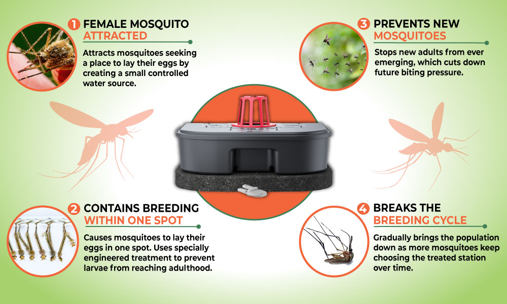 How YardSMART Mosquito Control works - Peachtree Pest Control