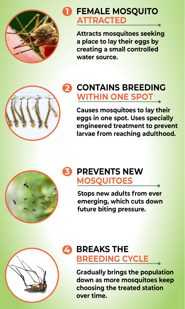 How YardSMART Mosquito Control works - Peachtree Pest Control