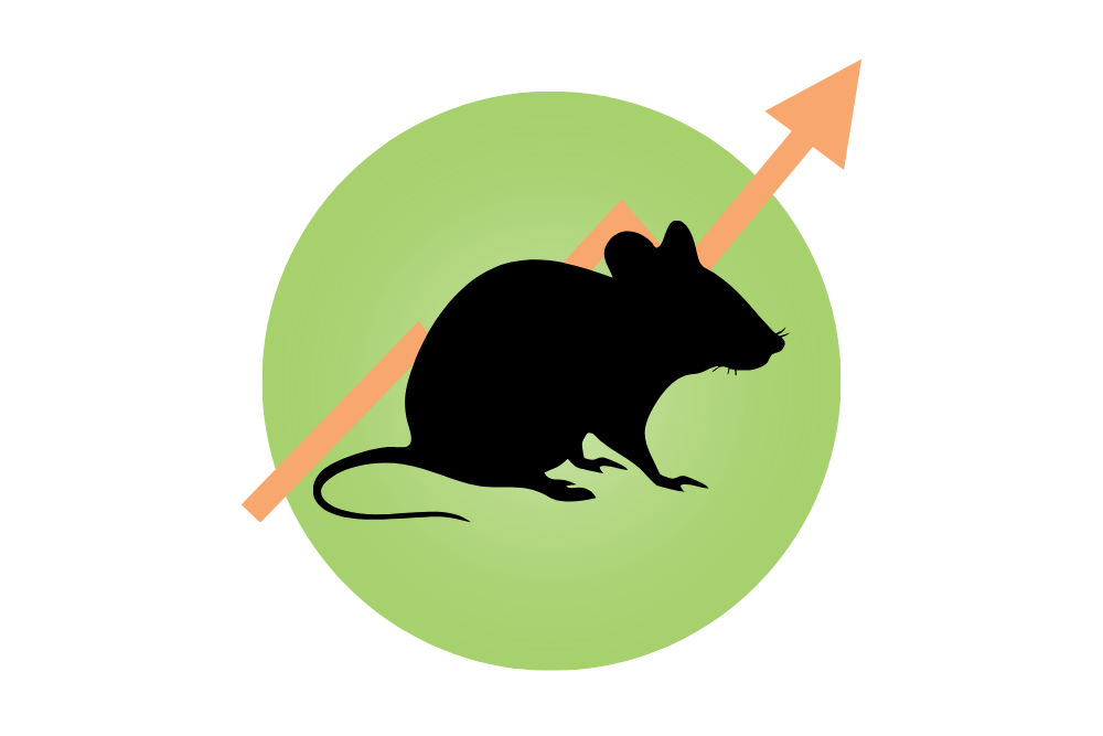peachtree pest control rodent activity rising summer 2026