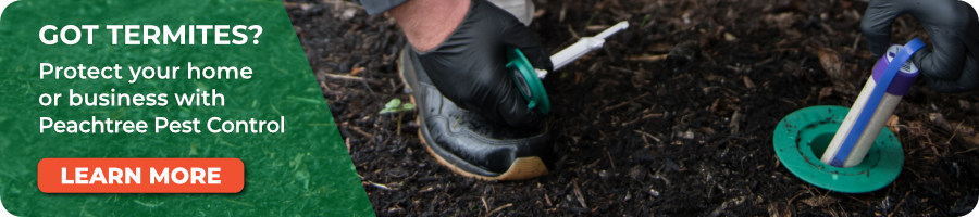 Sentricon Termite Bait Stations - Peachtree Pest Control