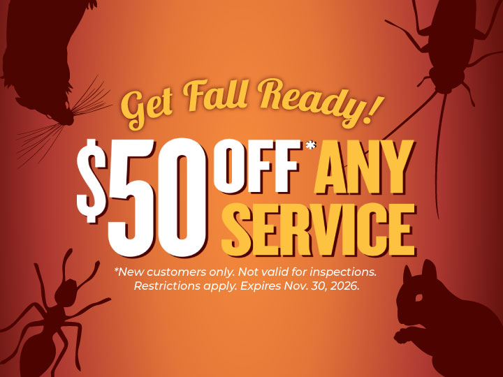 Save $50 on Fall Pest Control