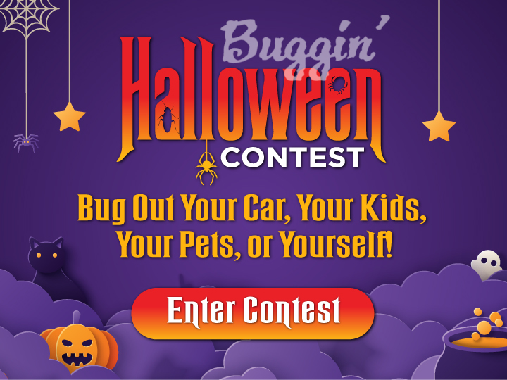 Buggin Halloween 2026